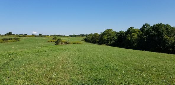 Highway Visible Land for Lease: 9646 Old Steubenville Pike, Bulger, PA 15019